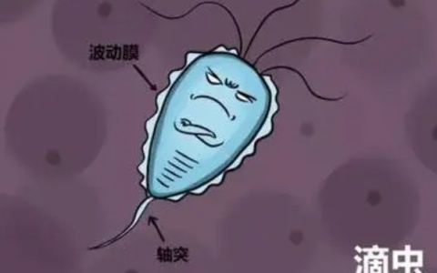滴虫怎么传播的？是因为他外面瞎玩吗？
