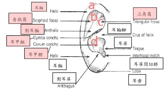 学会这几个「耳技」，能让 Ta 酥麻到不行！