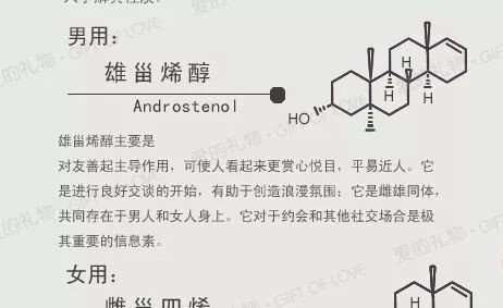 费洛蒙是什么意思