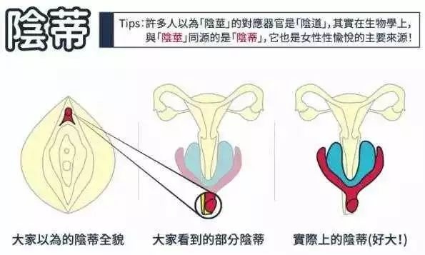 挑豆的正确姿势