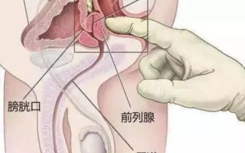 为啥男生后入也会有感觉