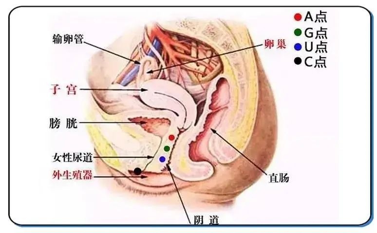 如何实现吹潮