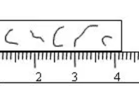 有关丁丁的9个标准，你达标了吗？