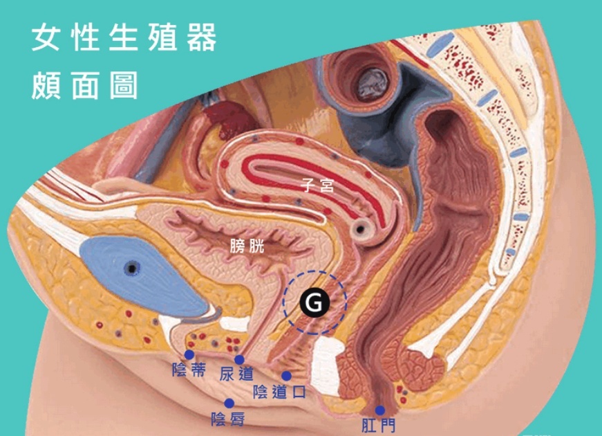 让快乐无限的的A、U、G、C点，到底在哪里?