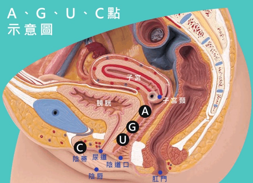 让快乐无限的的A、U、G、C点，到底在哪里?