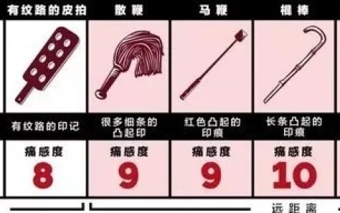 关于不同工具的打PP的疼痛分级