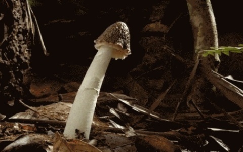 男生遇到这3种情况，可能都会硬！
