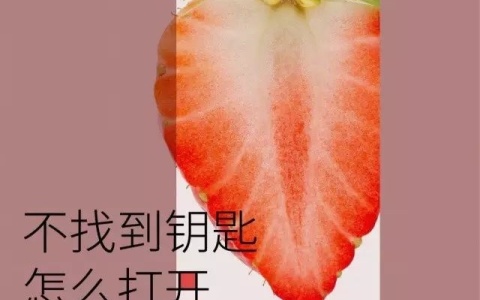 豆豆玩得妙，Gāo巢来得快！