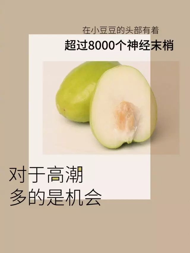 豆豆玩得妙，Gāo巢来得快！