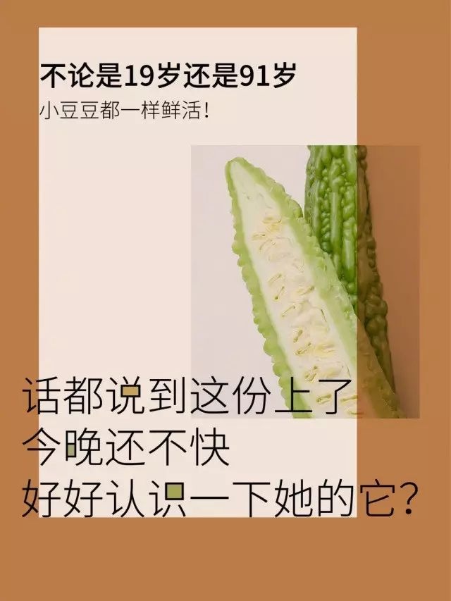 豆豆玩得妙，Gāo巢来得快！