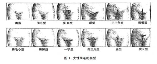 毛越多，X欲就越强？