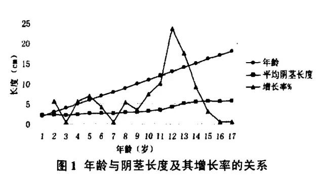 我的丁丁微小到肉眼不可见，这是为什么呢？