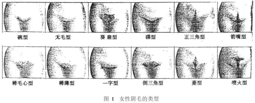 阴毛是如何炼成的