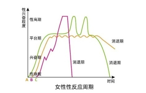 女生GC的4个阶段,男生都应该了解!