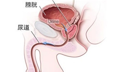 男生的前列腺真的有G点吗