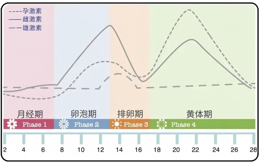 女人真的被激素拿捏的死死的