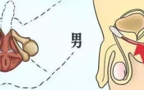 男性延长40分钟的训练方法有哪些