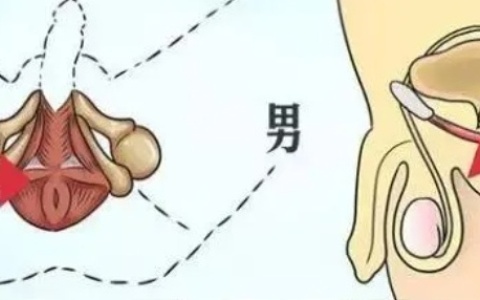 7个男性延时常用技巧,谁用谁知道!
