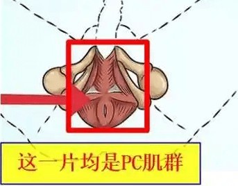 男生怎么自己有效控制时长-03