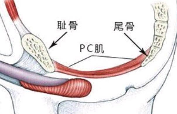 男生怎么自己有效控制时长-04