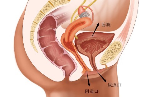 紫薇的时候有想尿尿的感觉是怎么回事-03