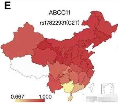 谁有中国狐臭人种分布图-01