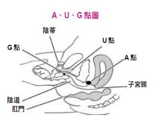 图解女性A点的准确位置-01