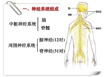 渴望被打屁股是什么问题-02