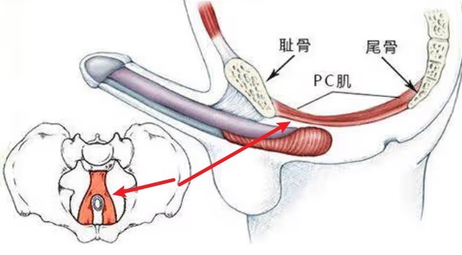 让你变持久的5个训练方法